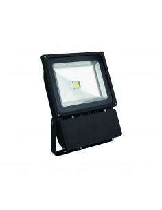 Šviestuvas - prožektorius...