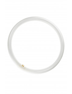 Liuminescencinė lempa TL-E...