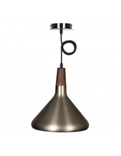 Pakabinamas šviestuvas...