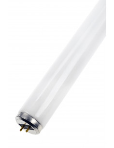 Lempa Actinic BL TL-D...