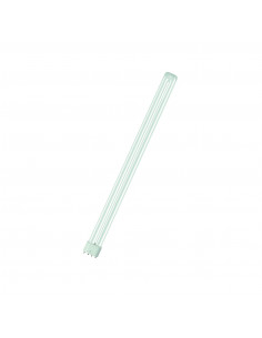 Lempa studijos, projekcinei...