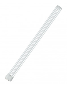 Lempa studijos, projekcinei... 2