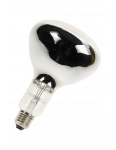 Infraraudonųjų spindulių...