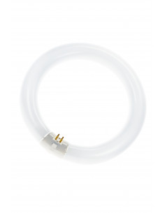 Lempa T9 Circline G10q 32W...