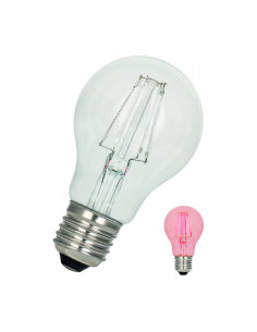 LED lempa LED Filament A60...