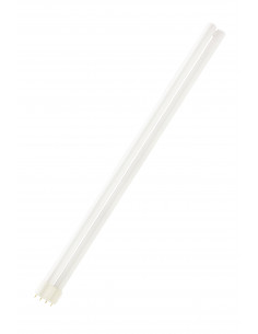 Kompaktinė liuminescencinė...