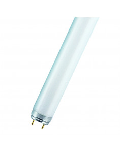 Liuminescencinė lempa OSRAM...