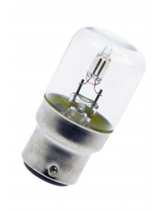 Neoninė lempa B22d T27X60...