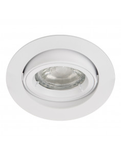 Šviestuvas - prožektorius...