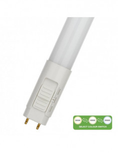 LED lempa LED Ecoplus T8...