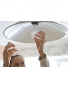 LED lempa LED Ecobasic A60... 2