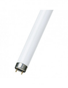 Liuminescencinė lempa TL T8...