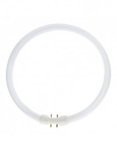 Liuminescencinė lempa TL5...