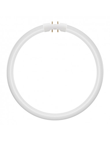 LED lempa LED Circular T5 2GX13 21.5W...