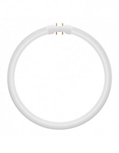 LED lempa LED Circular T5...