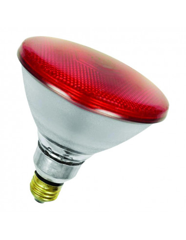 Infraraudonųjų spindulių lempa Infra...