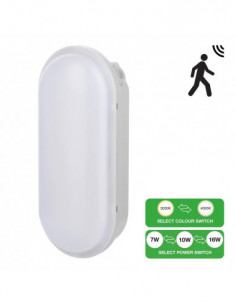 Lubų/sienų šviestuvas LED...