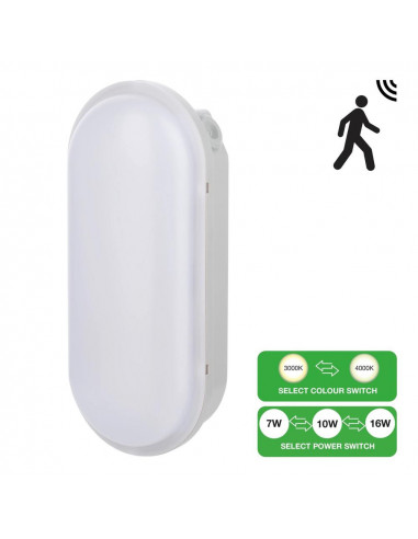 Lubų/sienų šviestuvas LED Bulkhead...