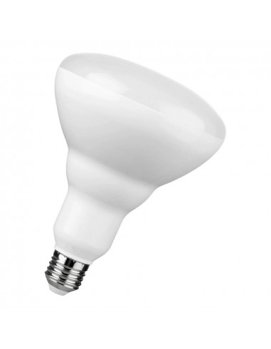 LED lempa LED R120 E27 DIM 14W (120W)...