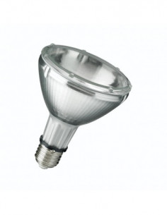 Dujų išlydžio lempa su...