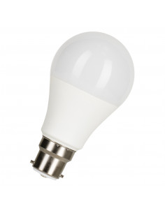 LED lempa Ecobasic LED A60...