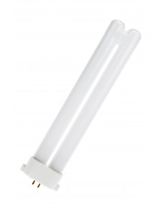 Kompaktinė liuminescencinė...