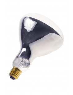 Infraraudonųjų spindulių...