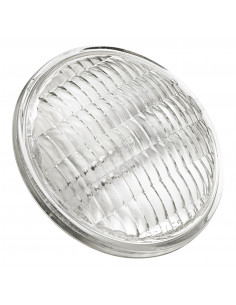 Lempa studijos, projekcinei...