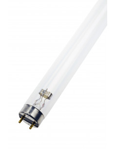 Ultravioletinių spindulių...