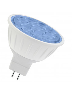 LED lempa LED MR16 GU5.3...