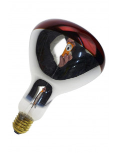 Infraraudonųjų spindulių...