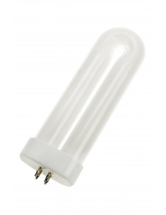 Lemputė U-Shaped 4Pins...