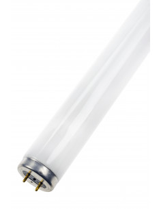 Lempa TL T12 G13 40W BL368...